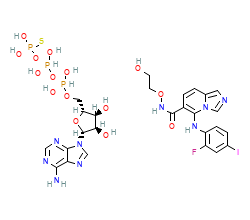 2D structure of the orthosteric ligand