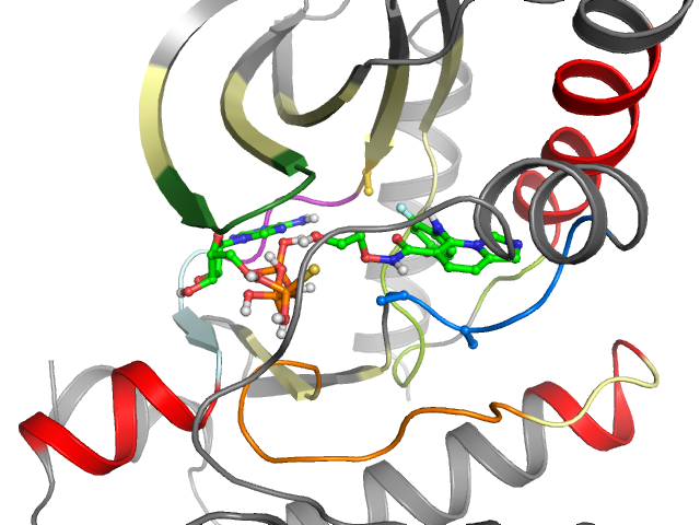 The orthosteric binding pocket
