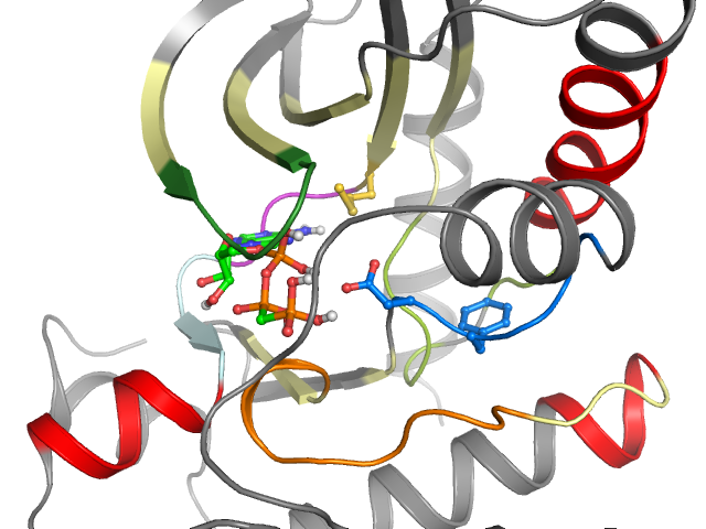 The orthosteric binding pocket