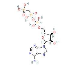 2D structure of the orthosteric ligand