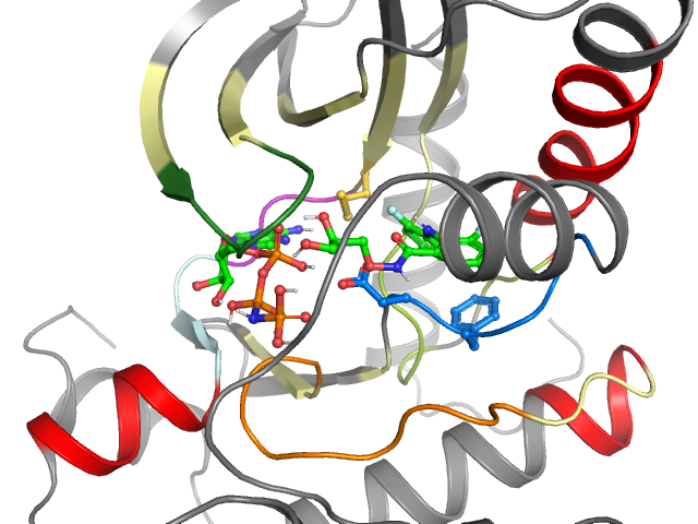 The orthosteric binding pocket