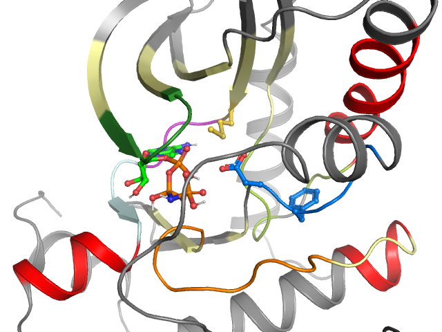 The orthosteric binding pocket