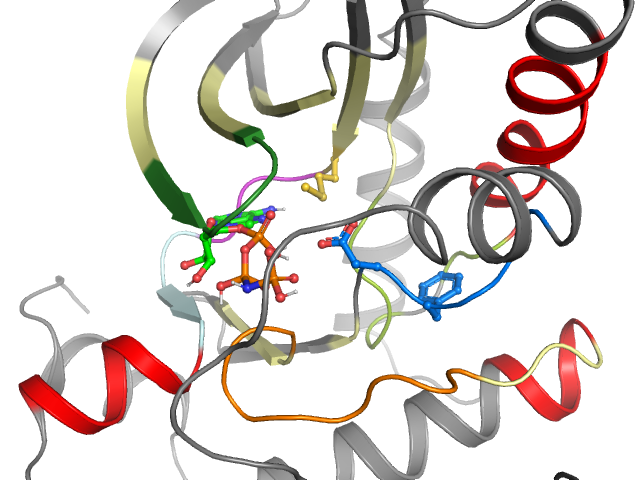 The orthosteric binding pocket