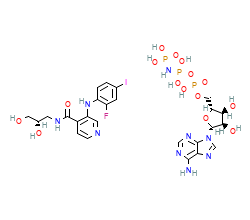 2D structure of the orthosteric ligand