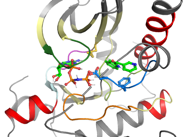 The orthosteric binding pocket