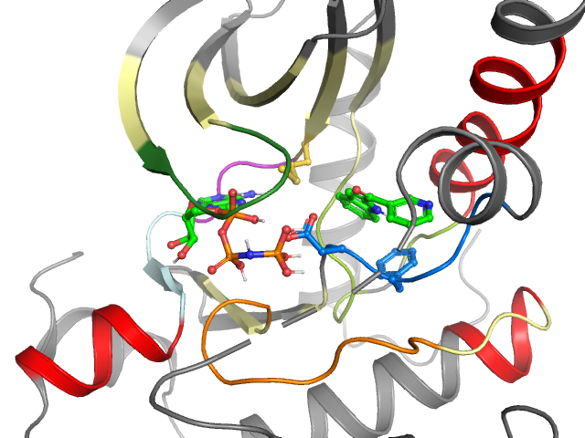 The orthosteric binding pocket