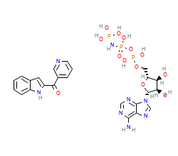 2D structure of the orthosteric ligand