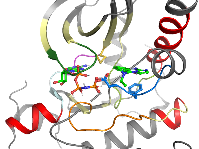 The orthosteric binding pocket