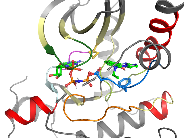 The orthosteric binding pocket