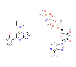 2D structure of the orthosteric ligand