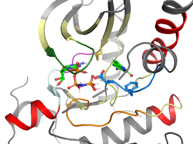 The orthosteric binding pocket