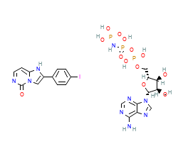 2D structure of the orthosteric ligand