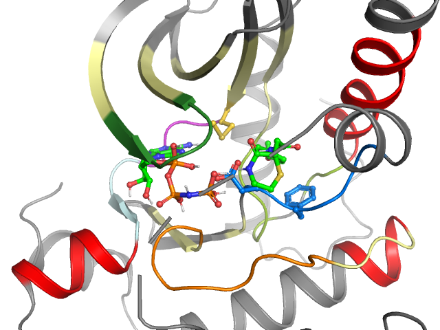 The orthosteric binding pocket
