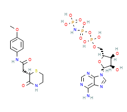 2D structure of the orthosteric ligand