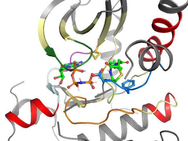 The orthosteric binding pocket
