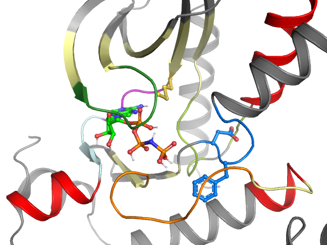 The orthosteric binding pocket
