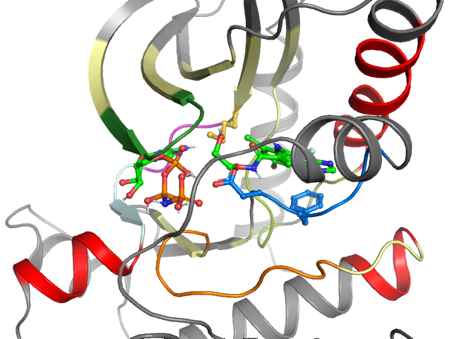 The orthosteric binding pocket
