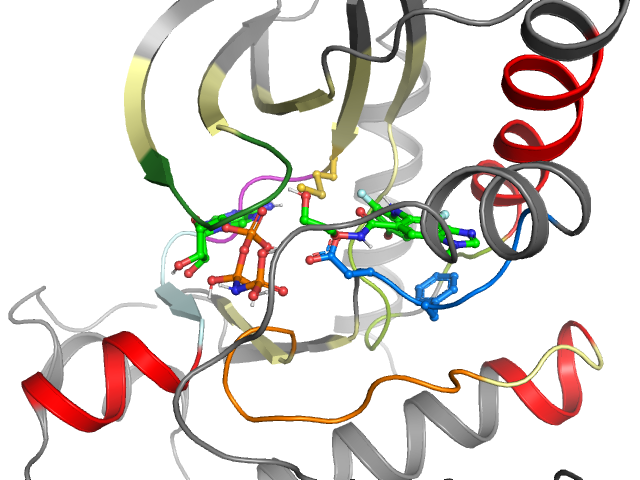 The orthosteric binding pocket