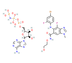 2D structure of the orthosteric ligand