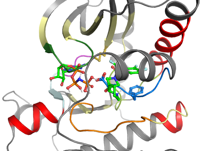 The orthosteric binding pocket