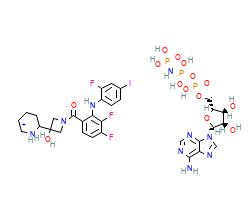 2D structure of the orthosteric ligand