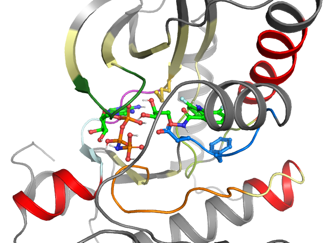 The orthosteric binding pocket