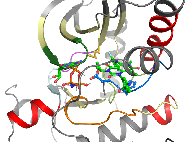 The orthosteric binding pocket