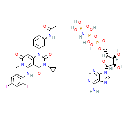 2D structure of the orthosteric ligand