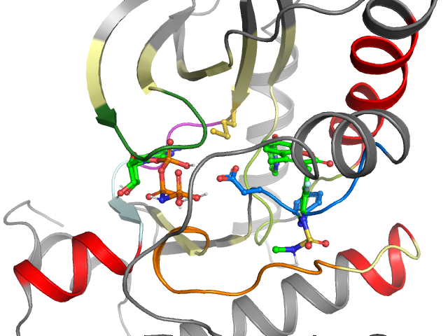 The orthosteric binding pocket