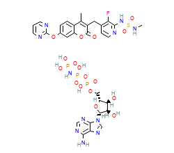 2D structure of the orthosteric ligand