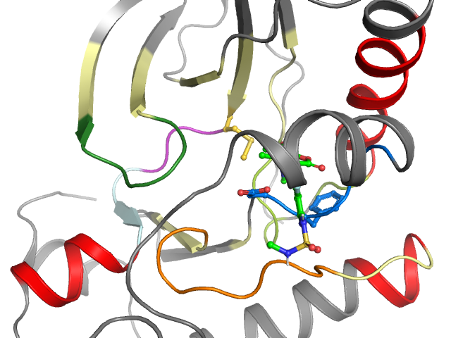 The orthosteric binding pocket