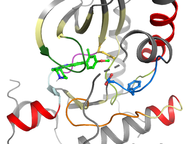 The orthosteric binding pocket