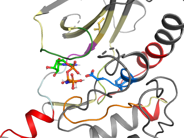 The orthosteric binding pocket