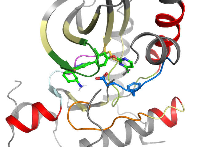 The orthosteric binding pocket