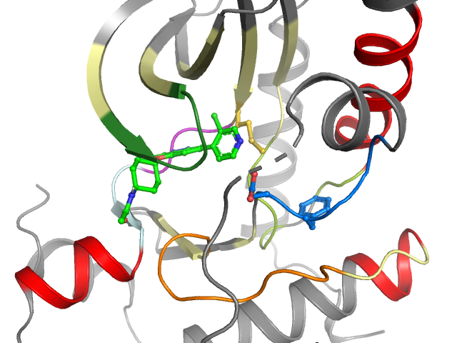 The orthosteric binding pocket