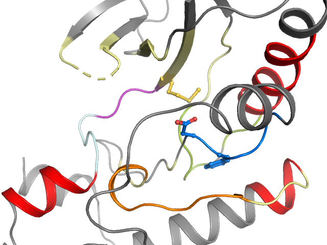 The orthosteric binding pocket