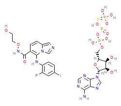 2D structure of the orthosteric ligand