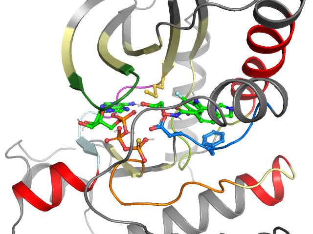 The orthosteric binding pocket