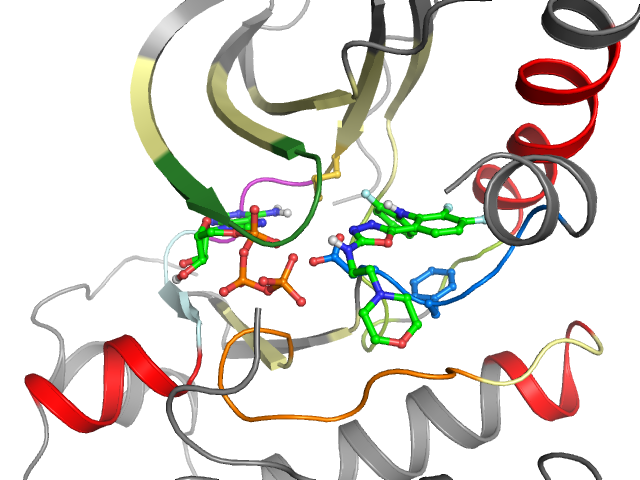 The orthosteric binding pocket