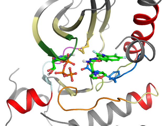 The orthosteric binding pocket