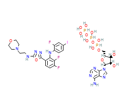 2D structure of the orthosteric ligand
