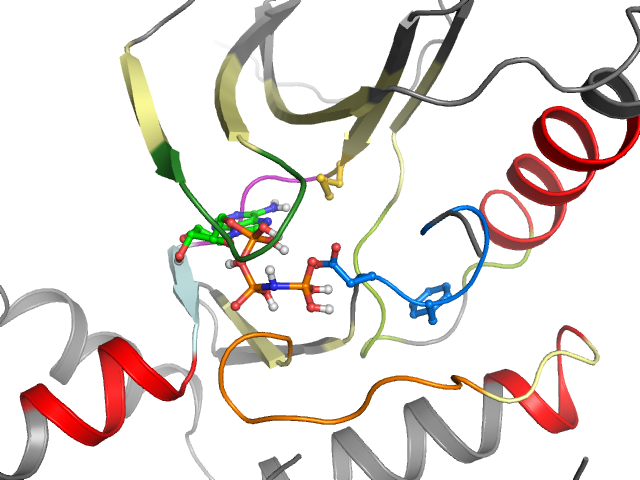 The orthosteric binding pocket