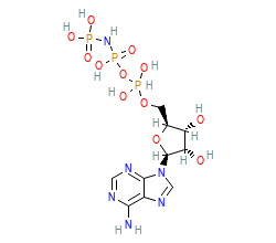 2D structure of the orthosteric ligand