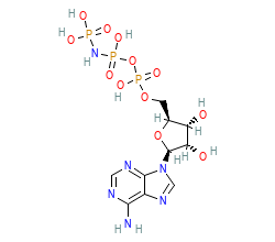2D structure of the orthosteric ligand
