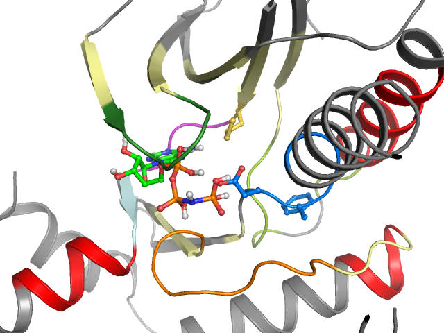 The orthosteric binding pocket