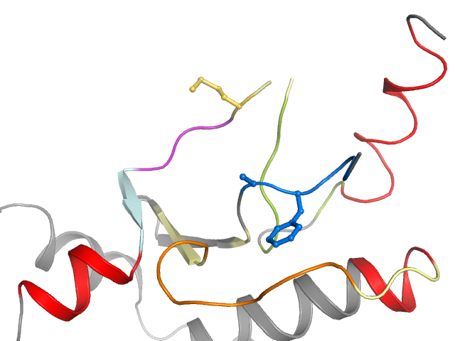 The orthosteric binding pocket
