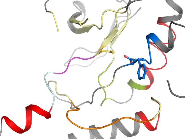 The orthosteric binding pocket