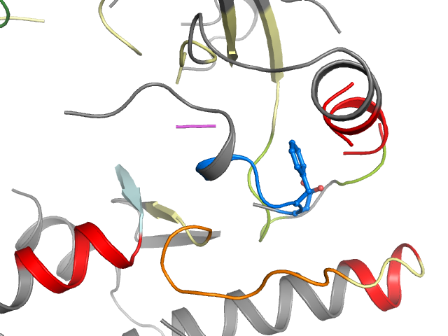 The orthosteric binding pocket