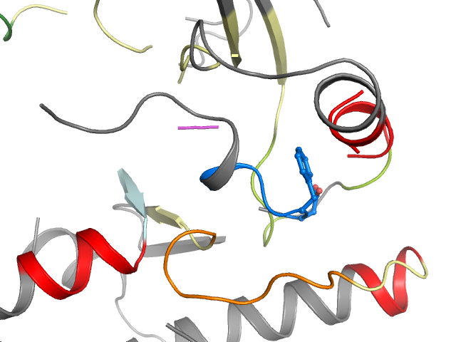 The orthosteric binding pocket