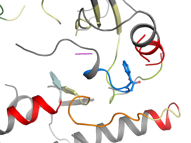 The orthosteric binding pocket